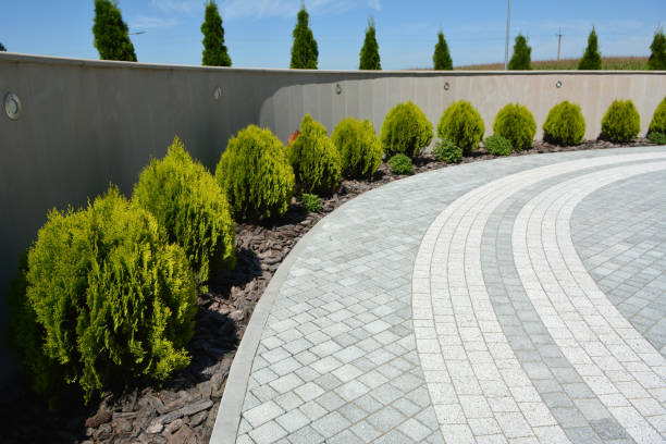 Best Local Driveway Pavers  in Prosperity, WV